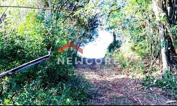 Imagem 6: Chácara em Estrada Carlos Arthur Scherer - Lomba Grande - Novo Hamburgo/RS