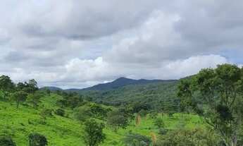 Imagem: Fazenda pra Gado 55 Alqueires - Região