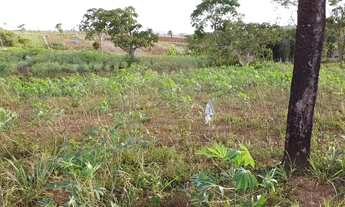 Imagem 3: Chácara em Ótima Localização