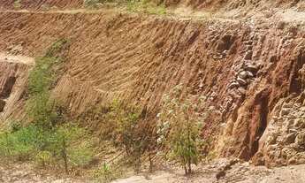 Imagem: Sítio para venda possui 96.800 M2, em São