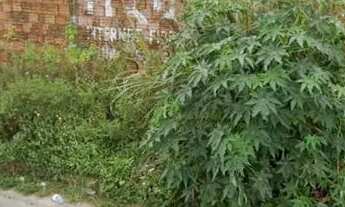 Imagem 2: TERRENO RESIDENCIAL em SÃO LUÍS - MA, CHÁCARA BRASIL