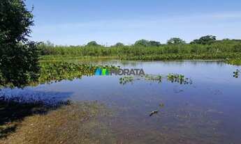 Imagem 2: FAZENDA À VENDA - 664 HECTARES - JANUÁRIA (MG