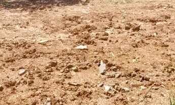 Imagem 6: Amplo Terreno 11 x 45m. Região Central de Canoas. R$ 280mil