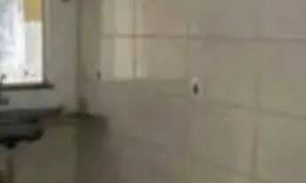 Imagem 5: Casa em capim macio