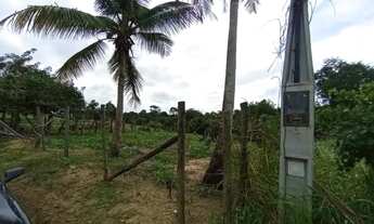 Imagem 5: SÍTIO ESCRITURADO ENTRE XURI E CÓRREGO SETE - 1.000 m