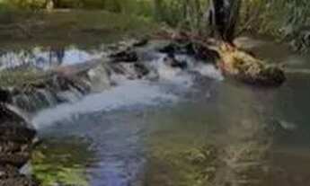 Imagem: Chácara Luxuosa próximo a Anápolis