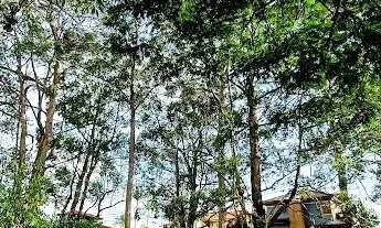 Imagem 3: Terreno à venda, 585 m² por R$ 850.000,00 - Collina Parque dos Príncipes - São Paulo/SP