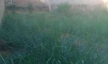 Imagem 2: Lote para venda possui 509 metros quadrados em Setor Gentil Meireles - Goiânia - GO