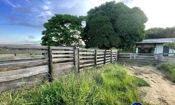 Imagem 3: Chácara à Venda em Goiás Velho - GO