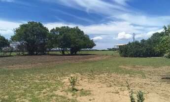 Imagem 5: Vendo terreno no pantanal Baía Siá Mariana