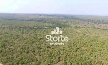 Imagem 2: Fazenda à venda, 1694000 m² por R$ 2.000.000,00 - Área Rural Alvorada do Norte - Alvorada