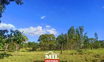 Imagem 4: Bela fazenda com 3 belas cachoeiras na regiao da Chapada dos Veadeiros