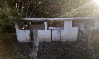 Imagem 4: Chácara em Mandirituba Com tanque