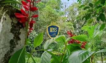 Imagem 3: CHACARA COM 100.000m² A VENDA COM VISTA PARA O PICO MARUMBI, ANTONINA PR