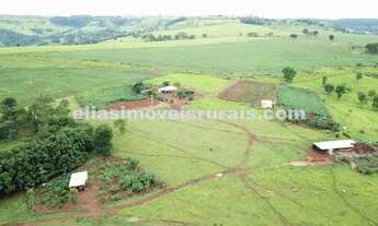 Imagem: Fazenda em Araguari - 14,88 alqueires