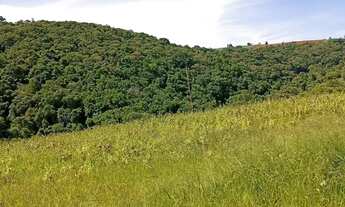 Imagem 4: Terrenos para seu chales - Ibiúna - SP
