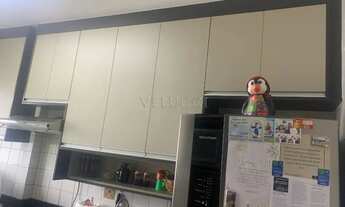 Imagem 7: Apartamento à venda no Jardim Ipaussurama em Campinas