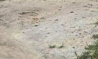 Imagem 3: Terreno na paupina vendo e troco