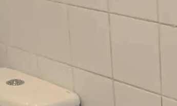 Imagem 3: Sala comercial Galpão / depósito com 5 vagas na garagem