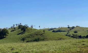 Imagem 3: Fazenda Modelo 310 Alqueires de Cultura