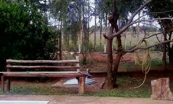 Imagem 6: Vendo Sitio em Castilho/Sp - 5 alqueires