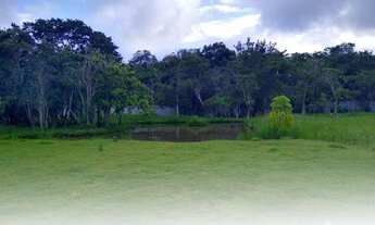 Imagem 4: Lindo Sítio em Venda Nova do Imigrante