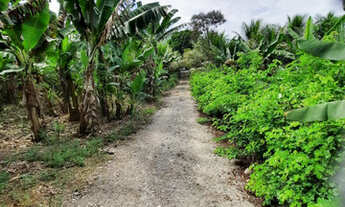 Imagem 4: Chácaras no Horto Baratinha