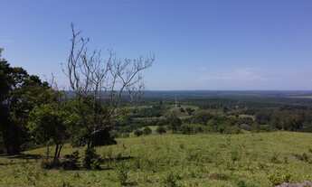 Imagem 3: Propiedadade 5 alqueires á 1 km rodovia Castelo Branco só terra