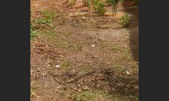 Imagem: CIDADE NOVA!!!LOTE 360 M /12X30 METROS!!!!