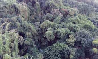 Imagem 3: Rio de Janeiro - Apartamento Padrão - Laranjeiras