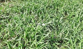 Imagem 3: TERRENO RESIDENCIAL em BRAGANÇA PAULISTA - SP, CONDOMÍNIO VALE DAS ÁGUAS