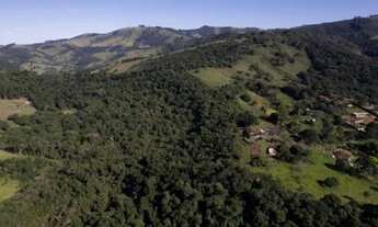 Imagem 3: Oportunidade - Terreno 7 alqueires