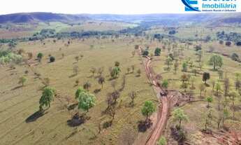 Imagem 4: Fazenda em Gurinhatã - MG com 137,94 hectares, ou seja 28,50 alqueires
