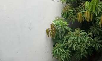 Imagem 6: Casa dos fundos com suíte