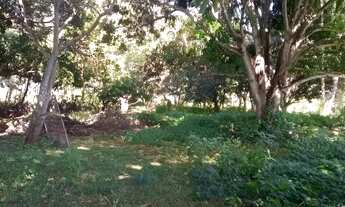 Imagem 4: Chácara de 10 hectares com Casa Sede de 350m² à Venda na BR 343 sentido Altos-PI