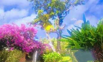 Imagem 7: SITIO 2 ALQUEIRES EM ARACÊ, FAZENDA DO ESTADO, 7 KM DE PEDRA AZUL ES