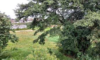 Imagem 4: Área Comercial Marginal Sul BR 101