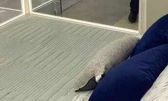 Imagem 6: GN- Condomínio clube em Boa Viagem, 2qts e varanda, entrada a partir de R$ 5 mil. Últimas