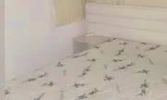 Imagem 5: 2 QUARTOS, 2 VAGAS DE GARAGEM, MOBILIADO, ITAPEMA