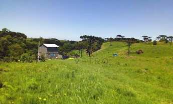 Imagem 6: Sítio no bairro Juá em São Francisco de Paula!