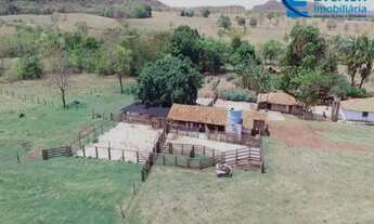 Imagem 6: Fazenda em Gurinhatã - MG com 137,94 hectares, ou seja 28,50 alqueires
