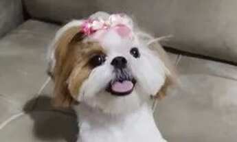 Imagem 4: Alugo quarto em Areias - vaga feminina