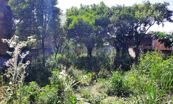 Imagem 5: Casa Padrão para Venda em Monte Belo Gravataí-RS - 2517