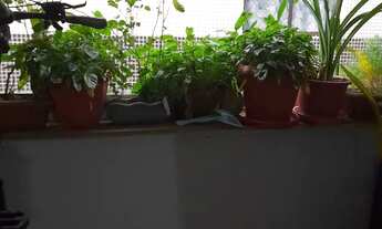 Imagem 3: Apartamento para alugar no Bessa R$1.300,00 na Rua do Motel Andorra