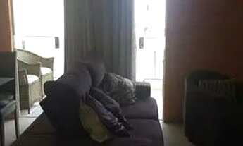 Imagem 2: Apartamento com 3/4 sendo 2 suítes