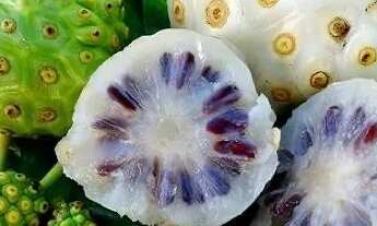 Imagem 5: Alugo Kitnet Recreio dos bandeirantes