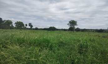 Imagem 2: Linda fazendinha de 211 Hectares..