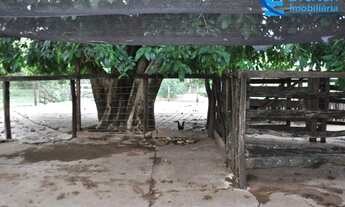 Imagem 7: Fazenda em Gurinhatã - MG com 137,94 hectares, ou seja 28,50 alqueires