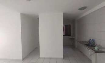 Imagem 7: SANTA AMÉLIA 2/4