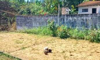 Imagem 4: Vende-se chácara perto de mirassol sp